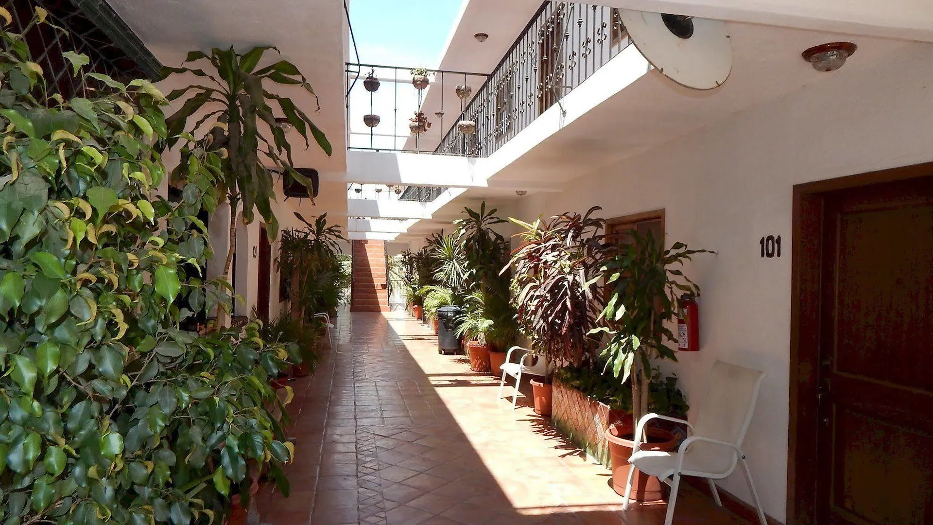 Hotel Cabo Cush Cabo San Lucas México