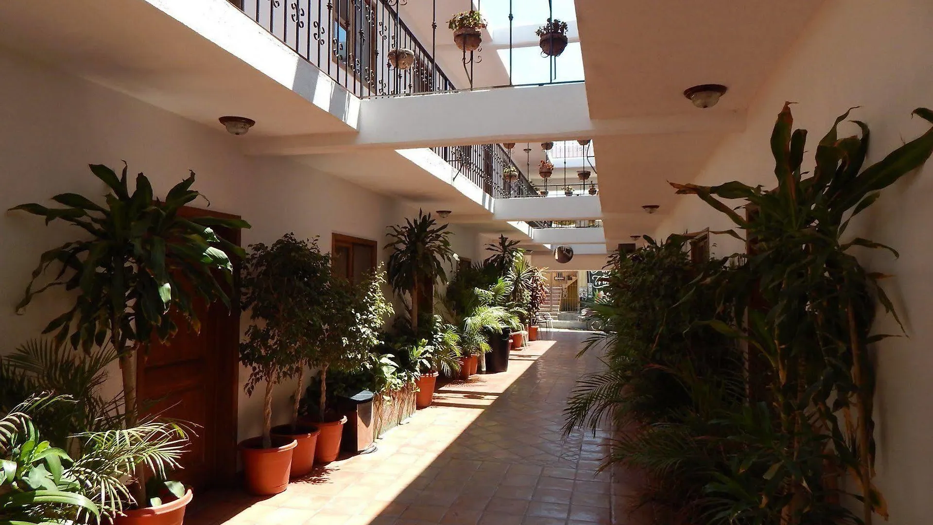 Hotel Cabo Cush Cabo San Lucas